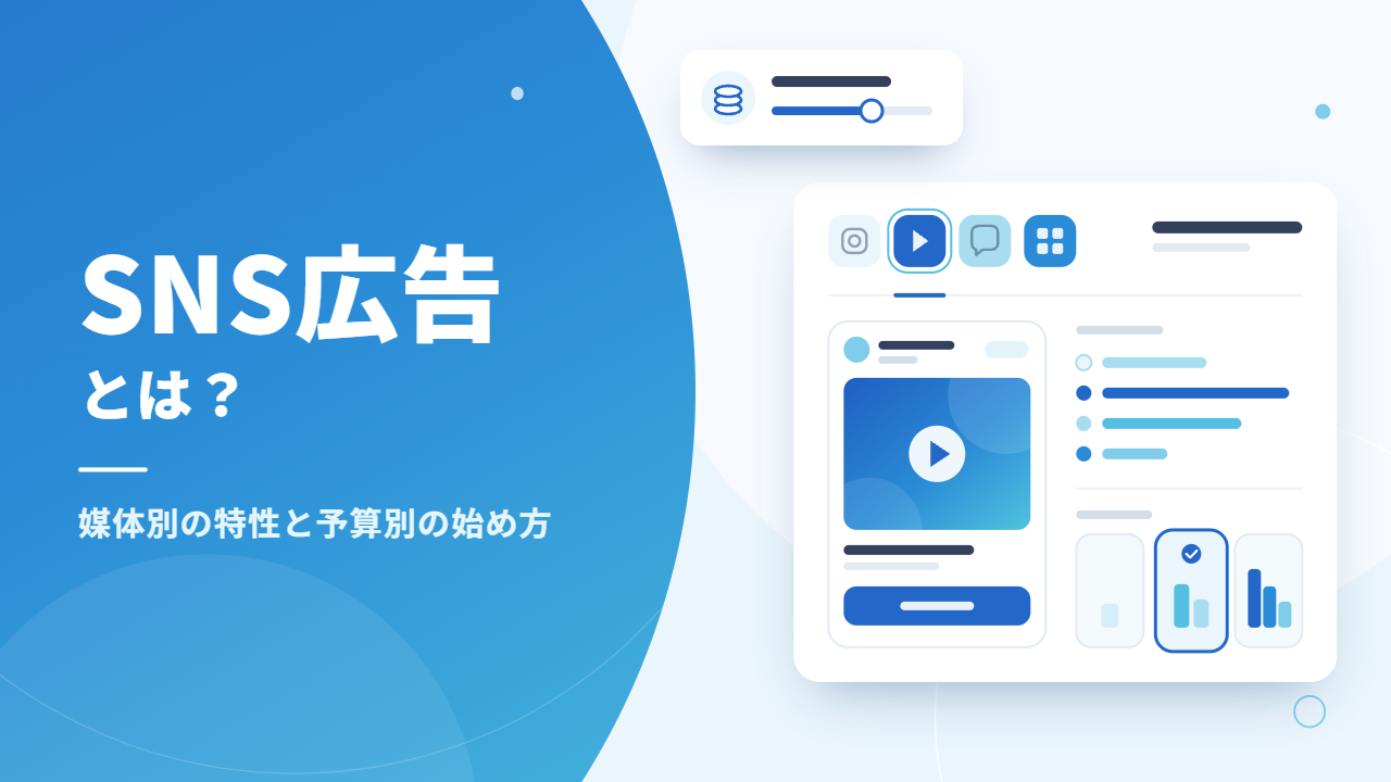 sns advertising platforms budget